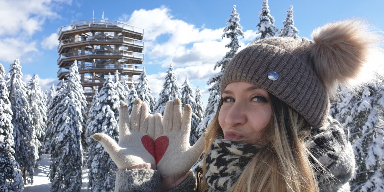 POT MED KROŠNJAMI I ADVENT U  MARIBORU