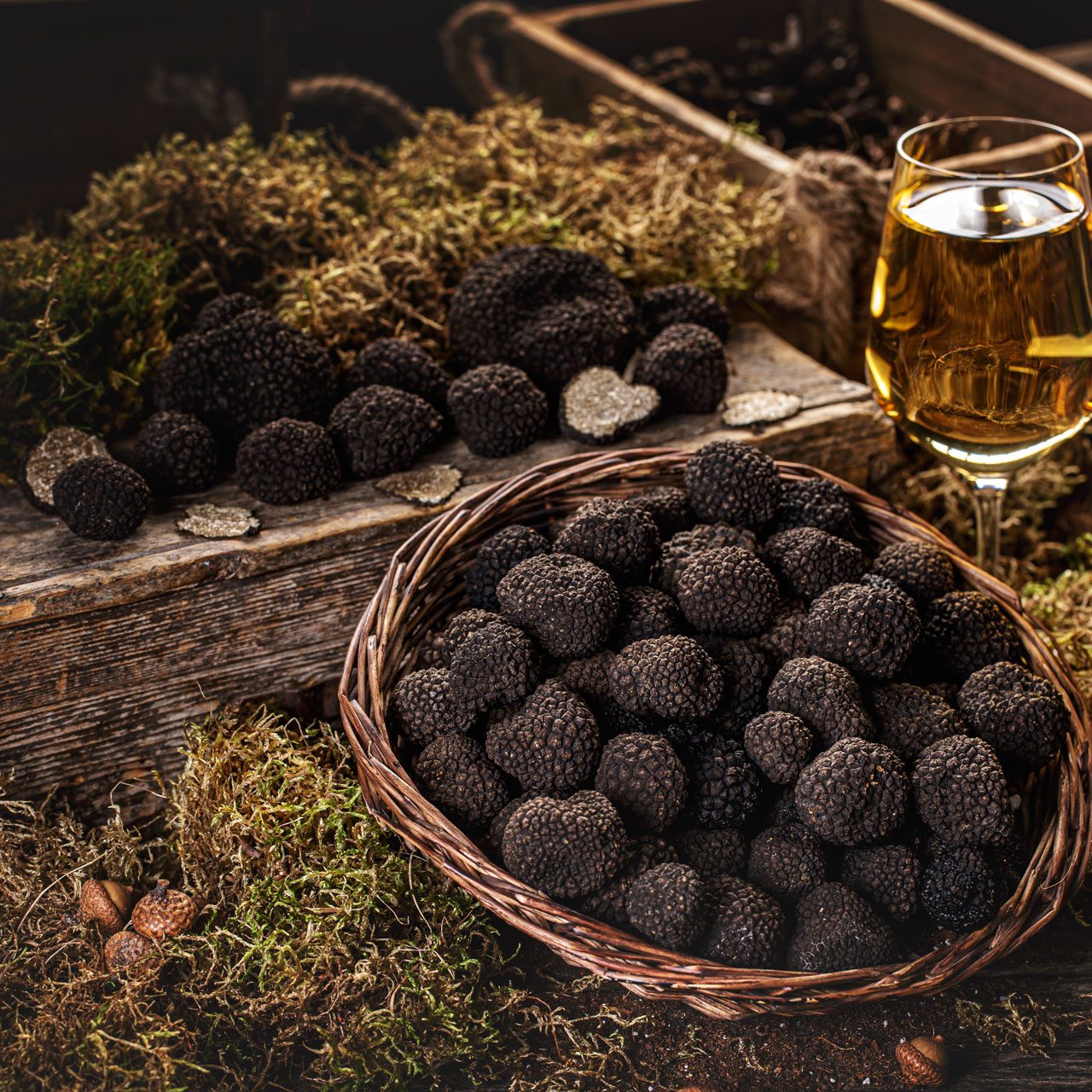 LOV NA TARTUFE - TRUFFLE HUNTING