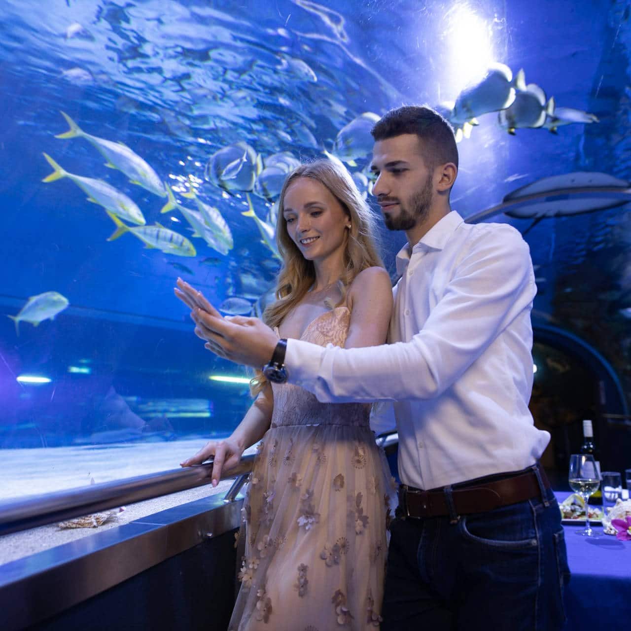 BUDIMEŠTA- TROPICARIUM