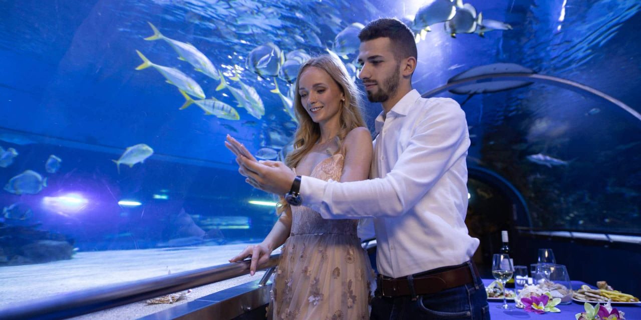 BUDIMEŠTA- TROPICARIUM